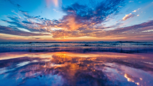 田径场地器材裁判员做什么